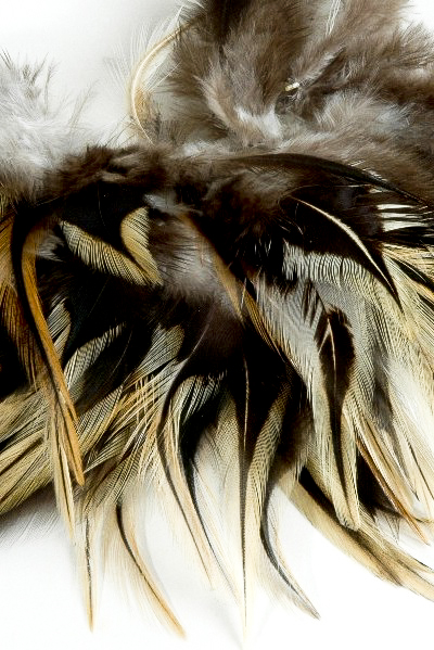 Coq flammé - 10-15 cm - naturel